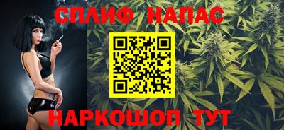 Альфа ПВП Можга