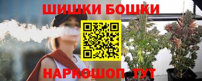 Альфа ПВП Можга
