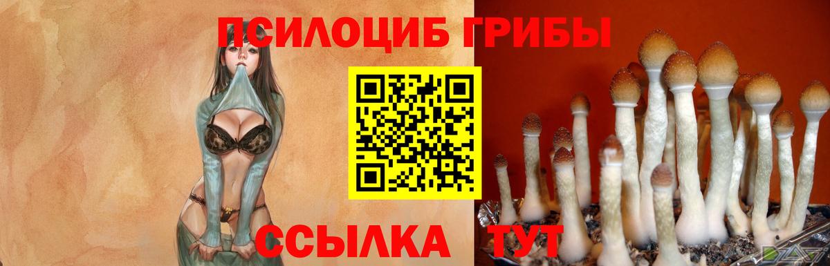Сухой Лог  Псилоцибиновые грибы MAGIC MUSHROOMS  Вход с VPN  Галлюциногенные грибы мицелий 